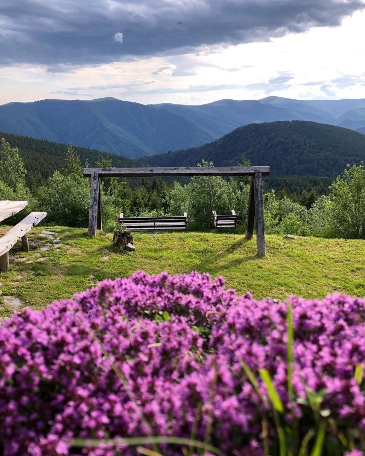 Pensiunea Casa Ancutei Рынка Экстерьер фото
